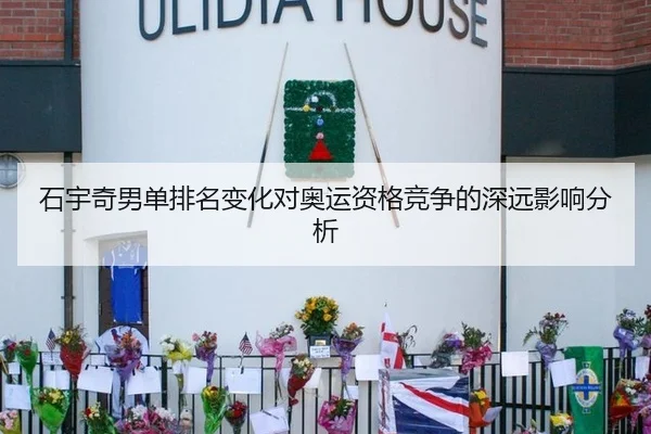 石宇奇男单排名变化对奥运资格竞争的深远影响分析
